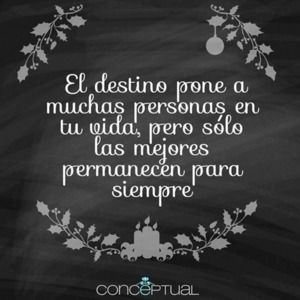 Meet your Posher, Cydmarie